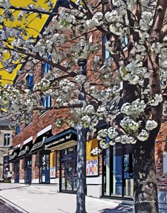 Laurier Brantford Stedmen's Bookstore 14140