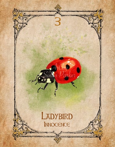 Ladybird from the Animal Spirit Oracle deck
