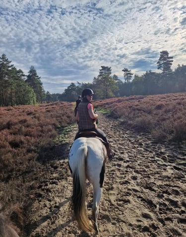 a woman riding a horse in the middle of a field