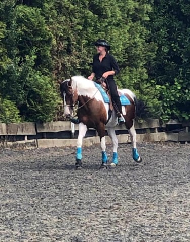 cowgirl op bruin wit paard