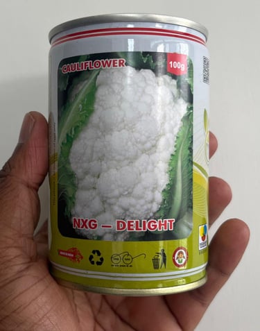 A 100g tin of NXG Delight cauliflower seeds being held, featuring a fresh white cauliflower head on the label.