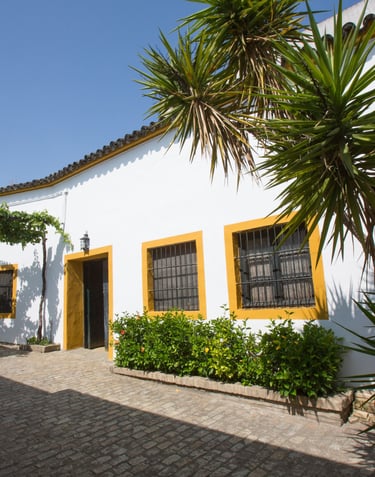 Inside view of Pettersen Brandy's renowned bodega located in Jerez de la Frontera, captured in an image.