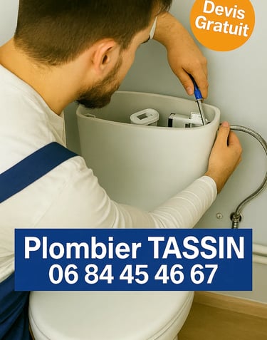 plombier tassin remplacement chasse wc toilette robinet tassin la demi lune 69160