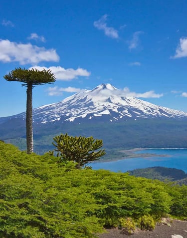 Ruta Escénica de Lagos y Volcanes