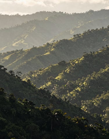 A wide-angle landscape photograph of the misty Talamanca mountains in a Central American / Costa Rican setting. Layers of deep charcoal forest green and muted sage green hills under a soft, diffused morning light.