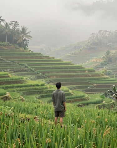 A minimalist and elegant shot of a traveler looking over the lush Tegallalang Rice Terrace. Serene atmosphere, early morning mist, featuring a natural color palette of greens and soft #F8F5EF light.