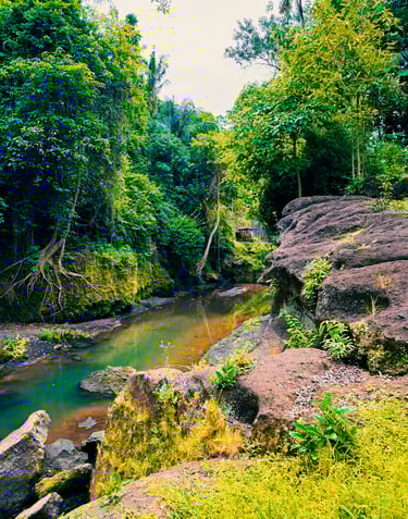 Bali Hidden Canyon
