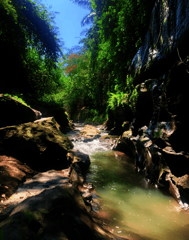 Bali Hidden Canyon