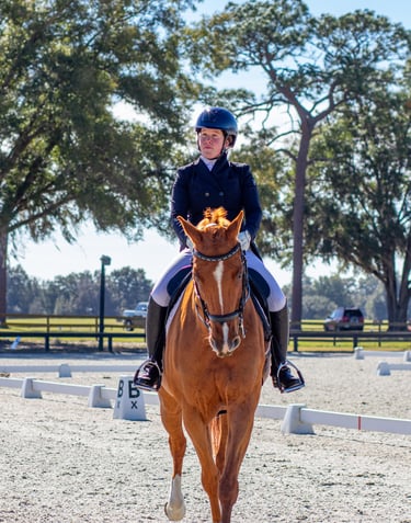 Equestrian rider in formal attire on a chestnut horse during a dressage event in a sunny outdoor are