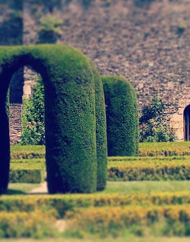 portes végétales amenant à notre inconscient retrouver les portes de l'inconscient