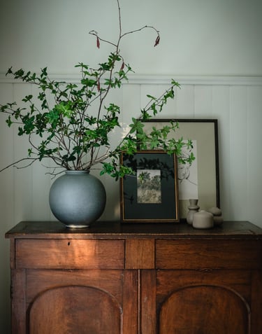 a vase with a plant in it on a dresser