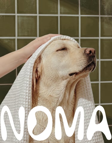 Projet Fictif - NOMA - Studio Luana - Brand Designer - Graphiste