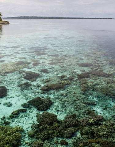 sulawesi sailing adventure