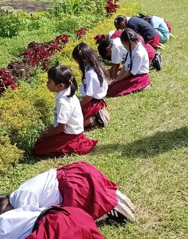 a group of children praying on the grass