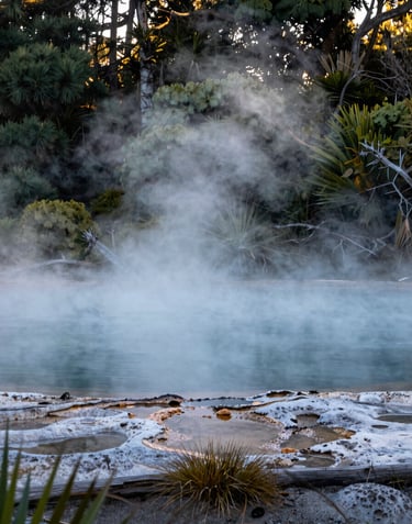 The thermal pools at Hanmer Springs surrounded by lush forest and rising steam in the early morning light. Oceania / New Zealand.