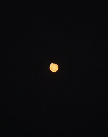 A candid, cinematic wide-angle shot of a couple laughing together in a sun-drenched North American / US backyard garden. The light is a warm terracotta glow. Colors: off-white clothing, charcoal shadows, sky blue accents.