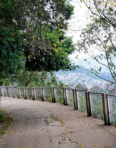 Coaker’s Walk trail with distant view of Kodaikanal town.