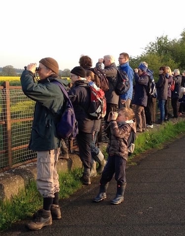 Dawn Chorus field trip