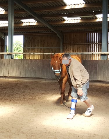 Personne handicapé moteur marche avec son cheval lors d'une séance d'équithérapie
