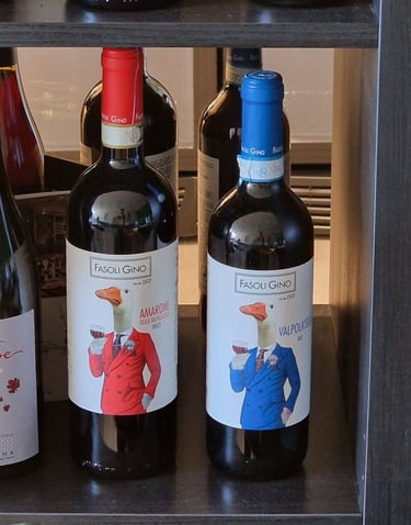 Amarone e Valpolicella biologico Fasoli Gino per ristoranti