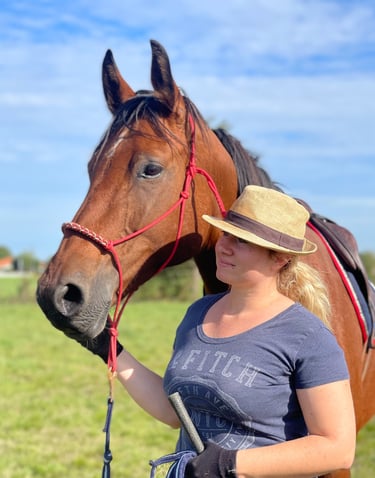 cheval et sa propriétaire le regard au loin