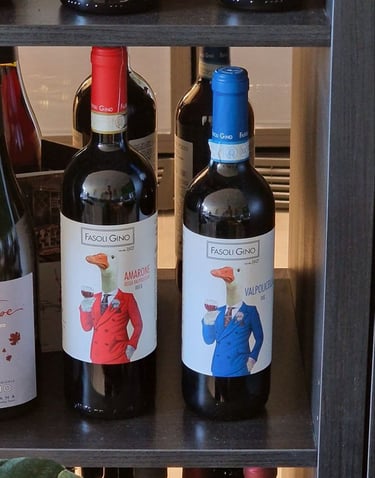 Amarone e Valpolicella biologico Fasoli Gino per ristoranti