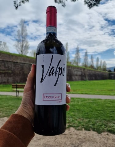 Valpolicella Ripasso superiore biologico per ristoranti