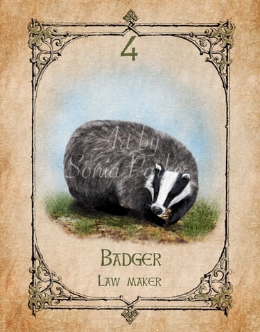 Badger spirit animal card from the animal spirit oracle deck