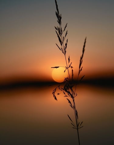 summer sun