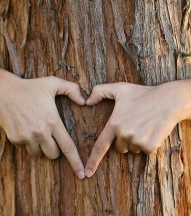 main formant un coeur sur un tronc d'arbre