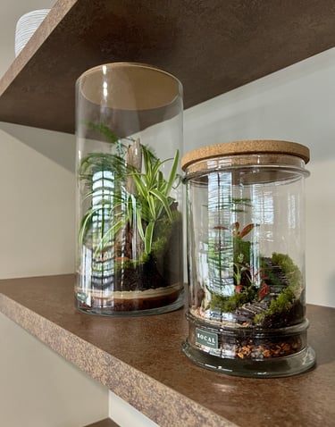 Terrariums uniques réalisés par Bocal terrarium à Clermont-Ferrand.