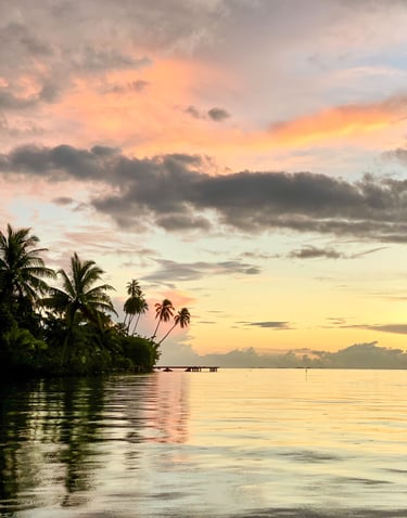 Sunset casting warm light over a palm tree-lined beach on Taha'a island, French Polynesia.
