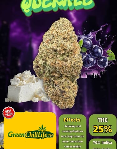 Hua Hin Dream cannabis flower with a balanced profile, available for adults aged 20+ within Thailand only.