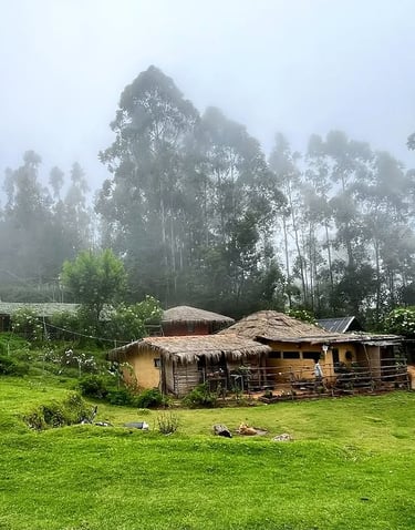 Blue Moon Huts Polur