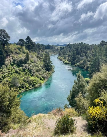 Vistas del rio Waikato desde Spa Thermal Park