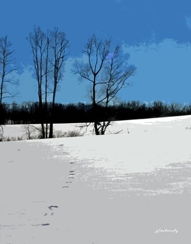 Winter Field 0784