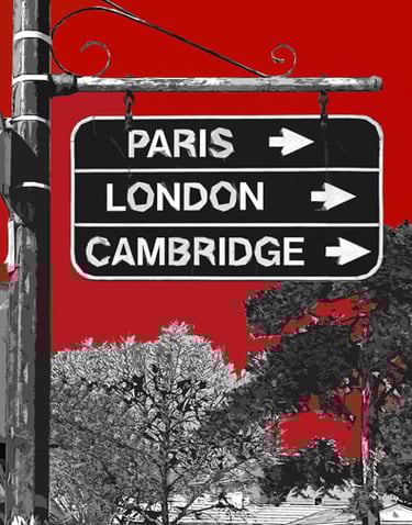 Direction Sign 14146