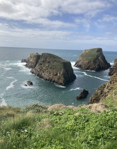 connexion au élément, mer, Roche, végétaux, vents, soleil