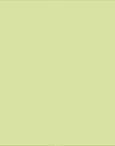 day trip birdwatching or general guide coastal region gambia