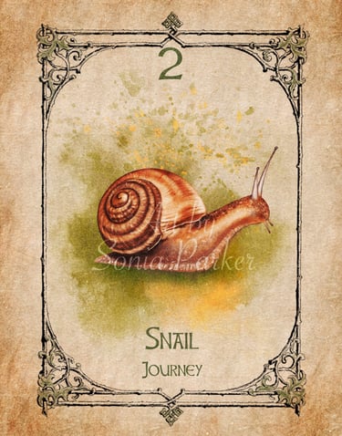 Snail, a card from the animal spirit oracle deck