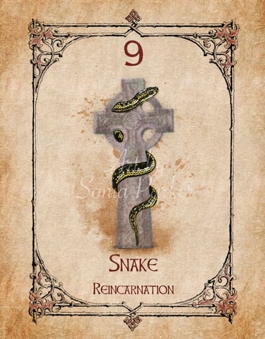 Snake card from the animal spirit oracle deck