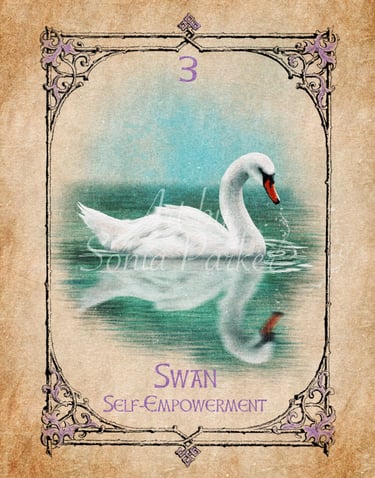 Swan card from the animal spirit oracle deck