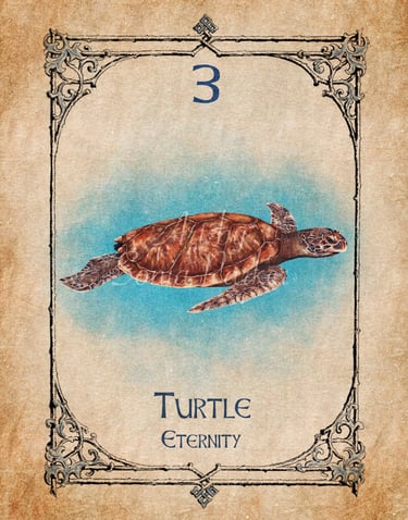 Turtle card from the animal spirit oracle deck