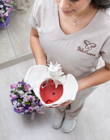 Fisioterapeuta especializada en suelo pélvico en Lima mostrando maqueta anatómica de pelvis, atención profesional en PelviSan