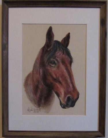 Commissioned portrait of a horse, taken from owner's photograph, drawn in soft pastel