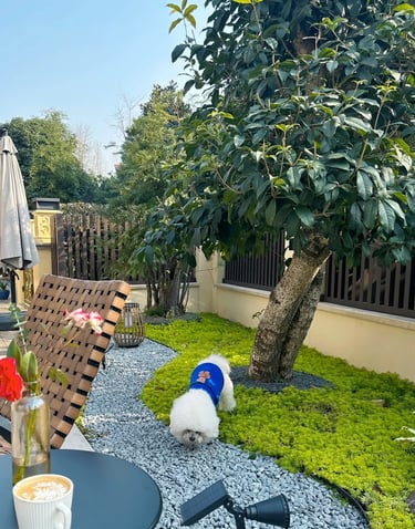 Comfortable garden retreat with outdoor seating, natural greenery, ambient lighting and cozy outdoor lifestyle inspiration.