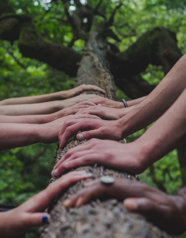 Photo by Shane Rounce on Unsplash