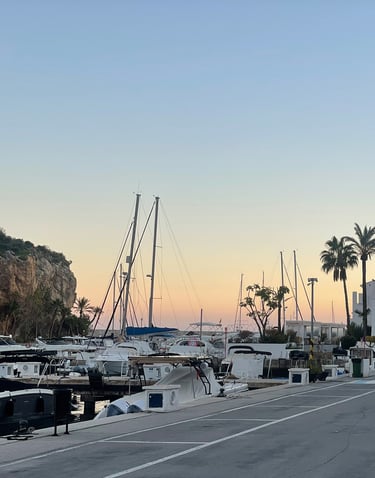 Casa Nalu and Marina del Este