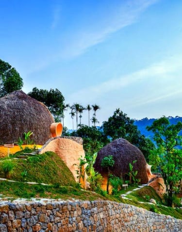 Toroland Munnar in Mankulam