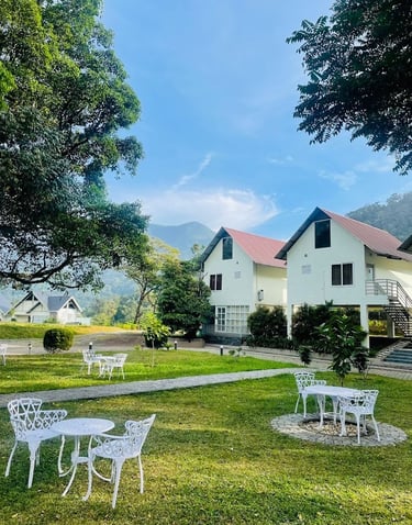 Zero degree jungle resort.